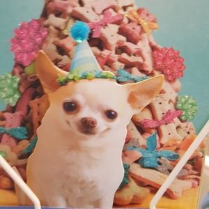 Meet your Posher, Amie